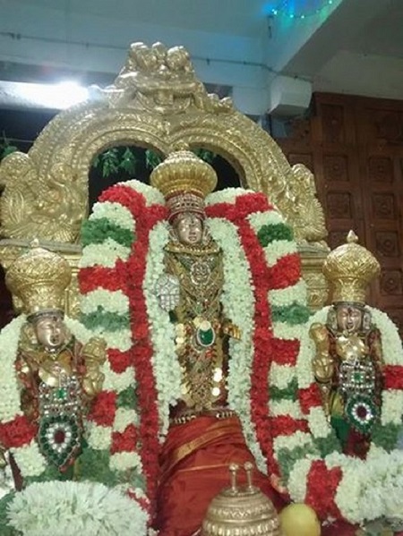 Mylapore SVDD Srinivasa Perumal Temple Manmadha Varusha Pirappu Purappadu8
