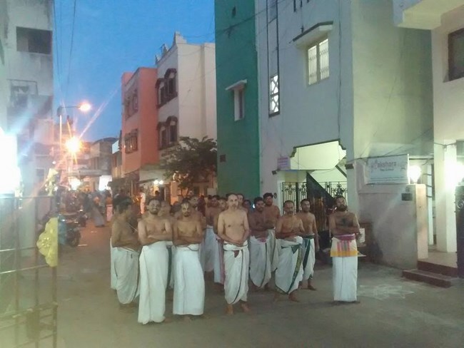 Mylapore SVDD Srinivasa Perumal Temple Manmadha Varusha Pirappu Purappadu9
