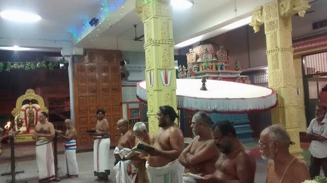Mylapore SVDD Srinivasa Perumal Temple Panguni Sravana Purappadu11