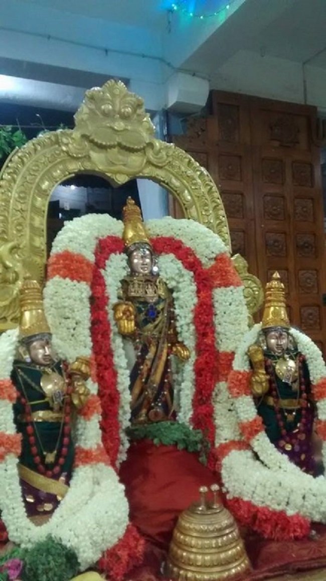 Mylapore SVDD Srinivasa Perumal Temple Panguni Sravana Purappadu7