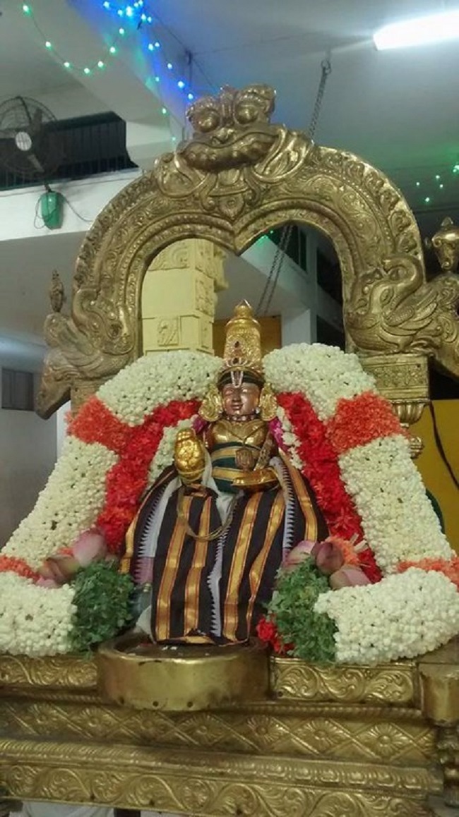 Mylapore SVDD Srinivasa Perumal Temple Panguni Sravana Purappadu9