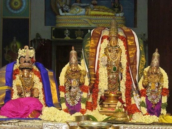 Mylapore SVDD Srinivasa Perumal Temple Panguni Uthiram Thirukalyana Utsavam29