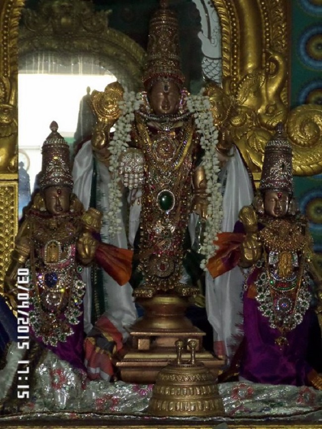 Mylapore SVDD Srinivasa Perumal Temple Panguni Uthiram Thirukalyana Utsavam3