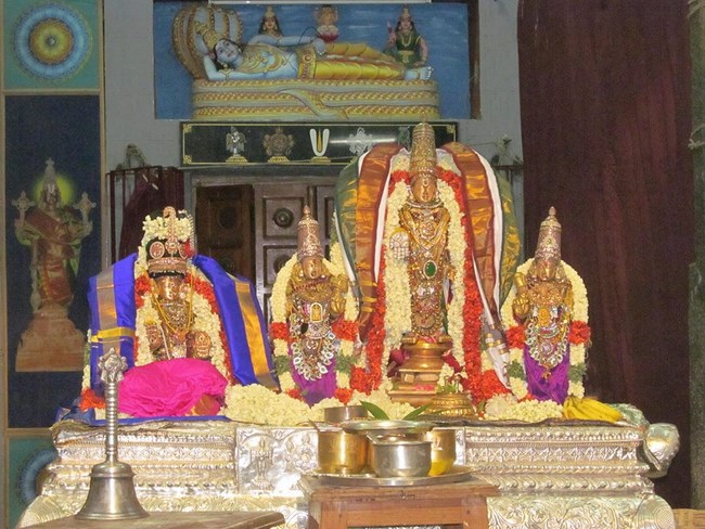 Mylapore SVDD Srinivasa Perumal Temple Panguni Uthiram Thirukalyana Utsavam5