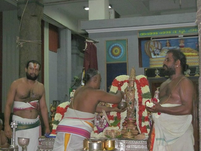Mylapore SVDD Srinivasa Perumal Temple Panguni Uthiram Thirukalyana Utsavam9