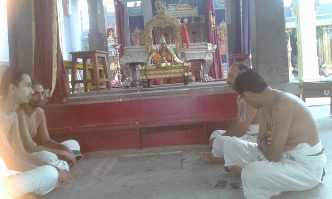 Mylapore SVDD Srinivasa Perumal Temple Sri Bhashyakara Avatara Utsavam Commences15
