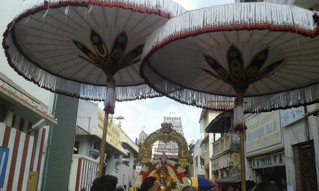 Mylapore SVDD Srinivasa Perumal Temple Sri Bhashyakara Avatara Utsavam Commences19