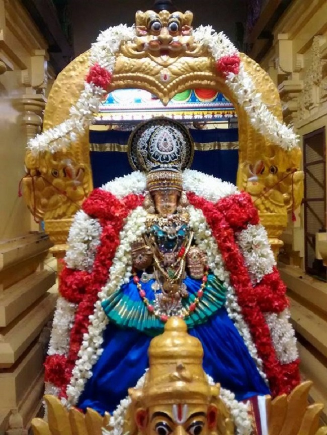 Mylapore SVDD Srinivasa Perumal Temple Sri Bhashyakara Avatara Utsavam12