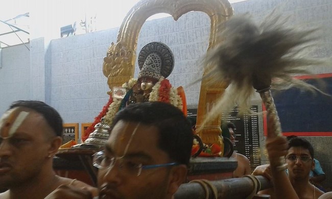 Mylapore SVDD Srinivasa Perumal Temple Sri Bhashyakara Avatara Utsavam12