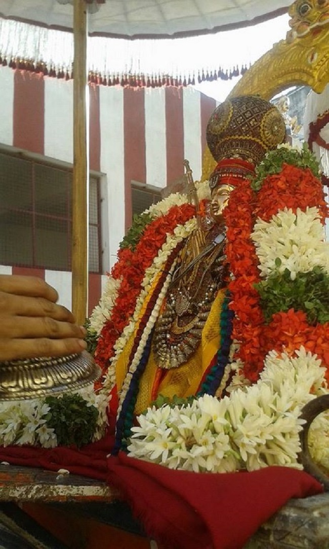 Mylapore SVDD Srinivasa Perumal Temple Sri Bhashyakara Avatara Utsavam14