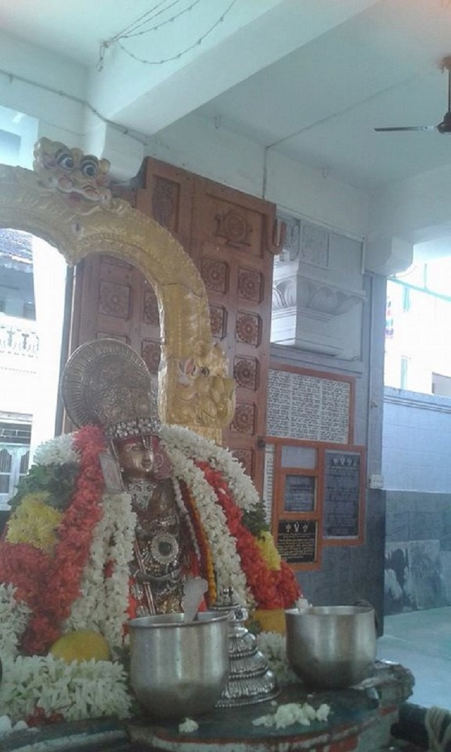 Mylapore SVDD Srinivasa Perumal Temple Sri Bhashyakara Avatara Utsavam26