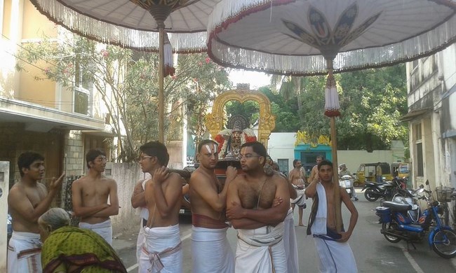 Mylapore SVDD Srinivasa Perumal Temple Sri Bhashyakara Avatara Utsavam5