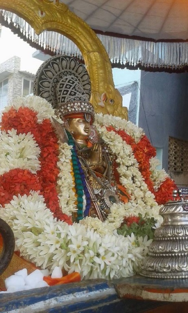 Mylapore SVDD Srinivasa Perumal Temple Sri Bhashyakara Avatara Utsavam8