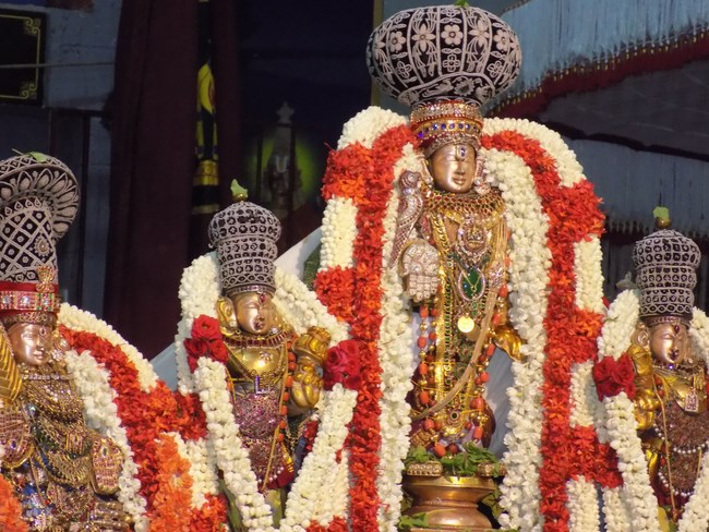 Mylapore SVDD Srinivasa Perumal Temple Vasanthotsavam10