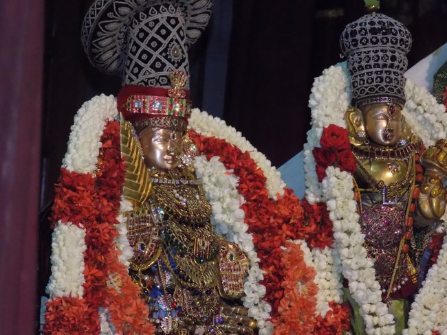 Mylapore SVDD Srinivasa Perumal Temple Vasanthotsavam11