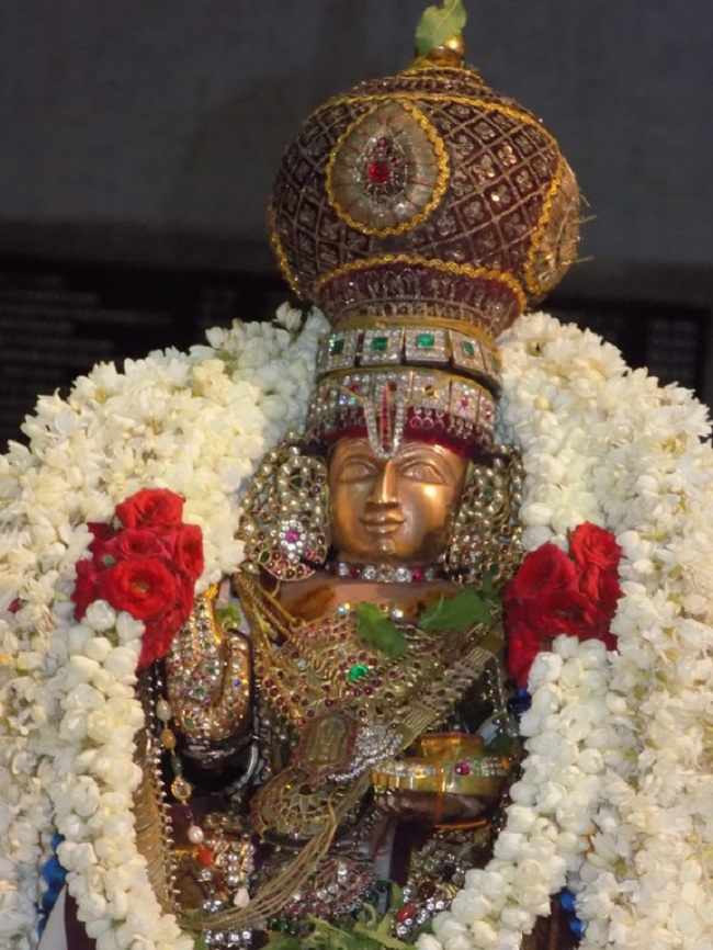 Mylapore SVDD Srinivasa Perumal Temple Vasanthotsavam14