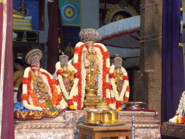 Mylapore SVDD Srinivasa Perumal Temple Vasanthotsavam4