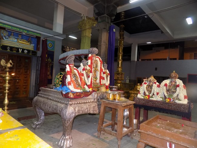 Mylapore SVDD Srinivasa Perumal Temple Vasanthotsavam5