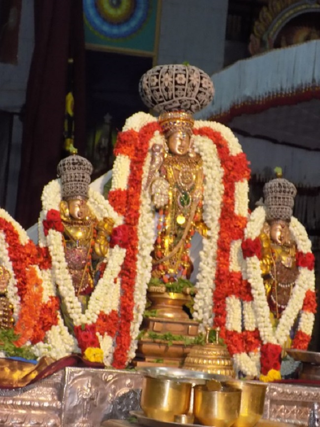 Mylapore SVDD Srinivasa Perumal Temple Vasanthotsavam8