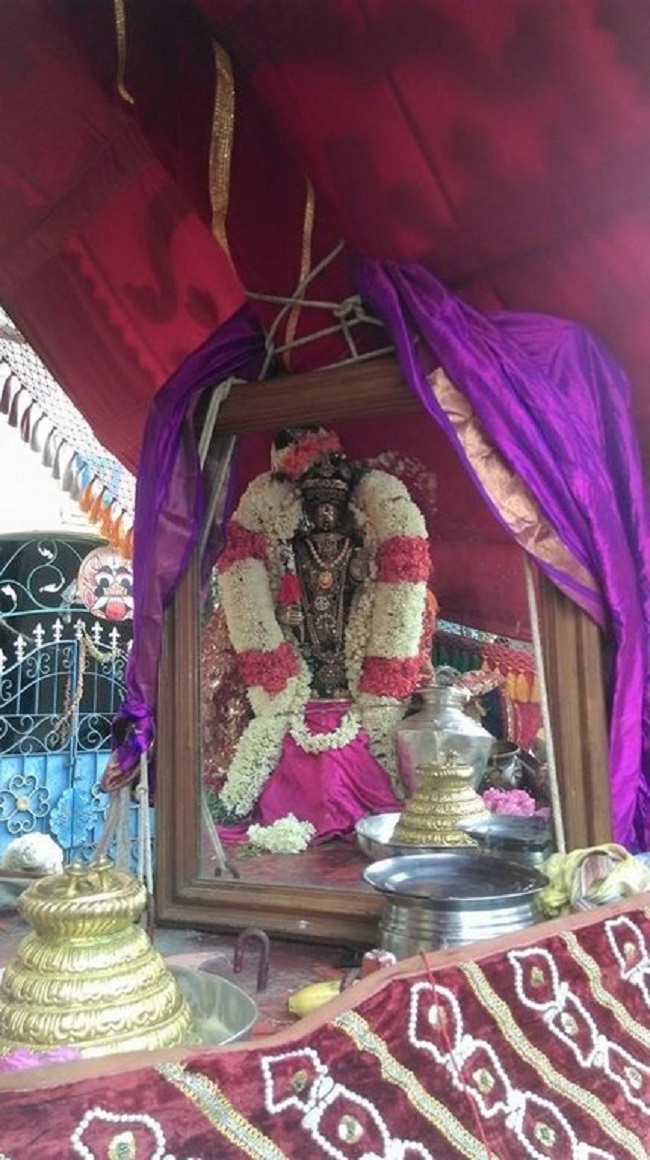 Mylapore Sri Adhikesava Perumal Temple Varshika Brahmotsavam12