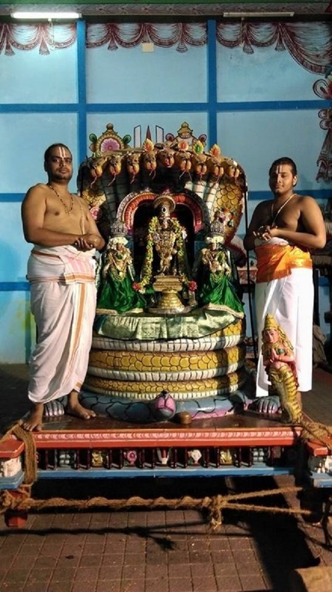 Mylapore Sri Adhikesava Perumal Temple Varshika Brahmotsavam14