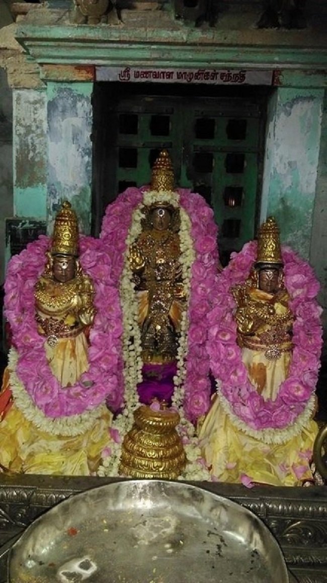 Mylapore Sri Adhikesava Perumal Temple Varshika Brahmotsavam15