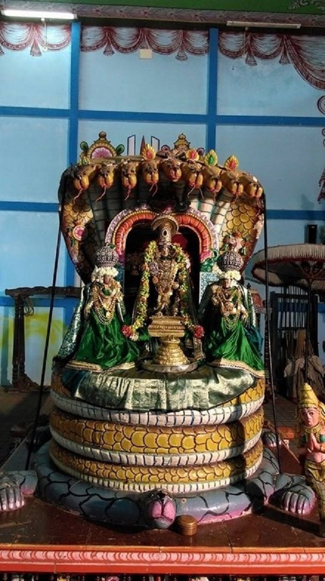 Mylapore Sri Adhikesava Perumal Temple Varshika Brahmotsavam20