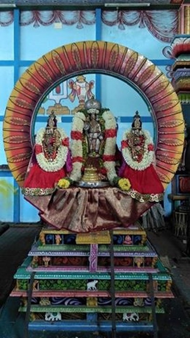 Mylapore Sri Adhikesava Perumal Temple Varshika Brahmotsavam22