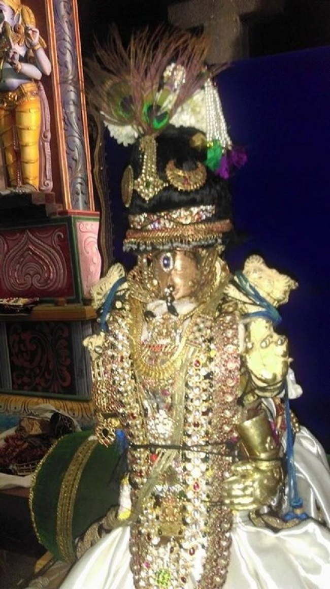 Mylapore Sri Adhikesava Perumal Temple Varshika Brahmotsavam23