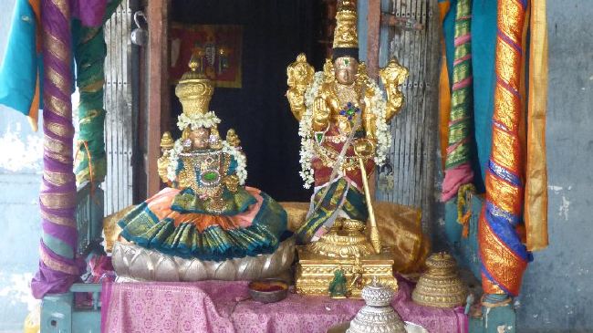 Panguni Serthi at Thirunangur Sri Van Purushottama Perumal  2015 -01