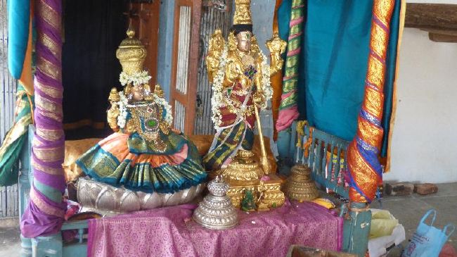 Panguni Serthi at Thirunangur Sri Van Purushottama Perumal  2015 -02