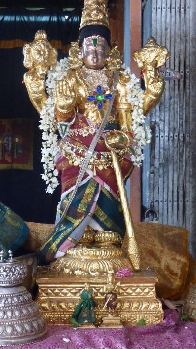Panguni Serthi at Thirunangur Sri Van Purushottama Perumal  2015 -05