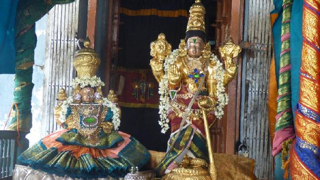 Panguni Serthi at Thirunangur Sri Van Purushottama Perumal  2015 -09
