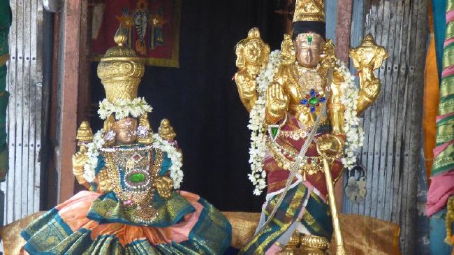 Panguni Serthi at Thirunangur Sri Van Purushottama Perumal  2015 -12