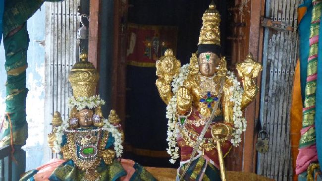 Panguni Serthi at Thirunangur Sri Van Purushottama Perumal  2015 -14