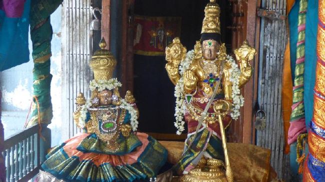 Panguni Serthi at Thirunangur Sri Van Purushottama Perumal  2015 -15