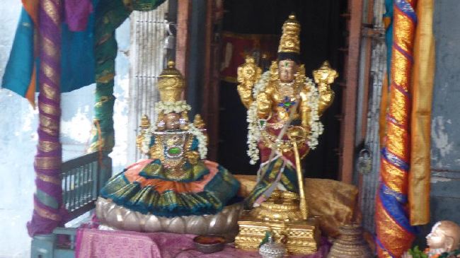 Panguni Serthi at Thirunangur Sri Van Purushottama Perumal  2015 -18