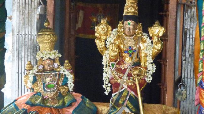 Panguni Serthi at Thirunangur Sri Van Purushottama Perumal  2015 -19