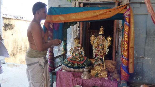 Panguni Serthi at Thirunangur Sri Van Purushottama Perumal  2015 -21
