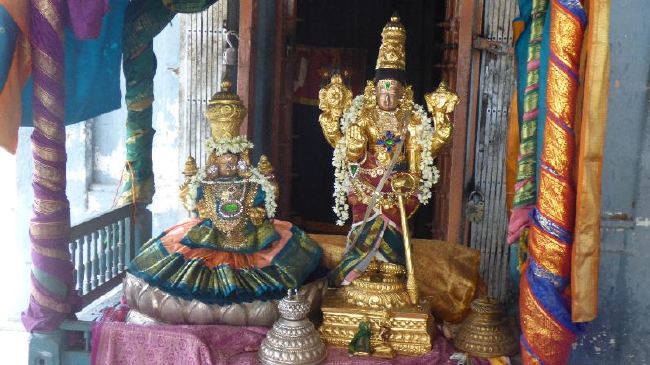 Panguni Serthi at Thirunangur Sri Van Purushottama Perumal  2015 -23