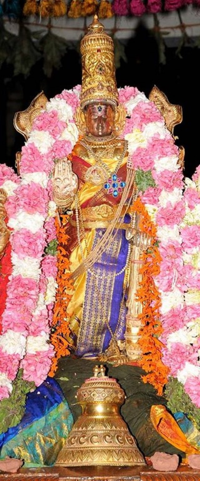 Panguni Swathi Sudarsana Homam At Lower Ahobilam Sri Prahaladavardan Temple11
