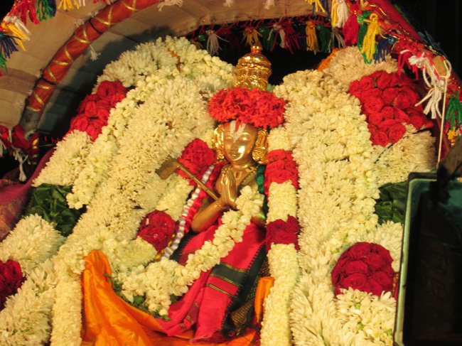 Pondicherry Sri Srinivasa Perumal Sannadhi Ramanuja Jayanthi 2015-2015-05