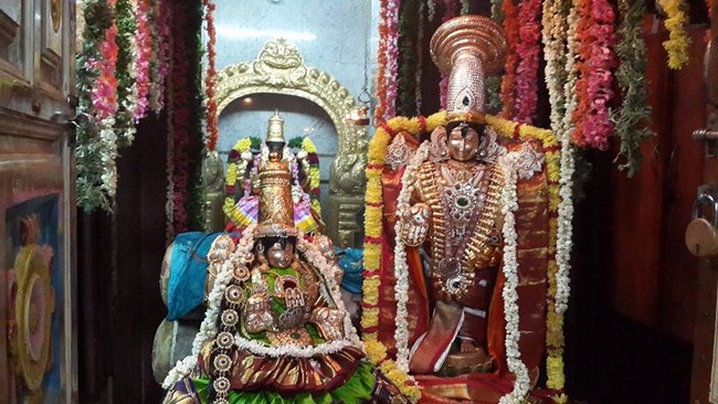 Pondicherry Sri Srinivasa Perumal Temple Panguni Uthiram Utsavam12