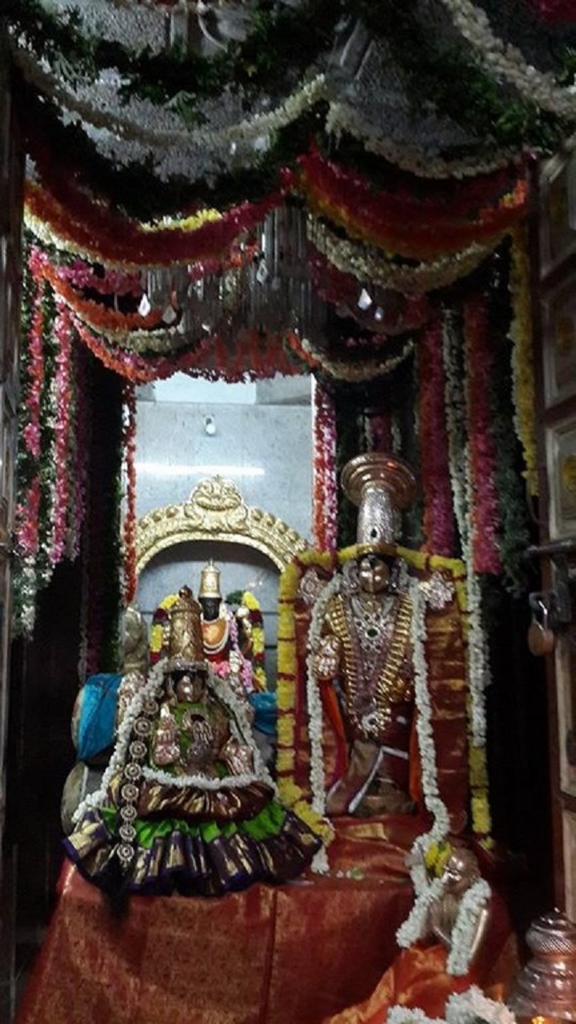 Pondicherry Sri Srinivasa Perumal Temple Panguni Uthiram Utsavam13