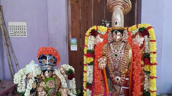 Pondicherry Sri Srinivasa Perumal Temple Panguni Uthiram Utsavam1