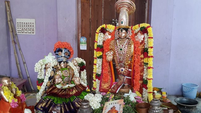Pondicherry Sri Srinivasa Perumal Temple Panguni Uthiram Utsavam5