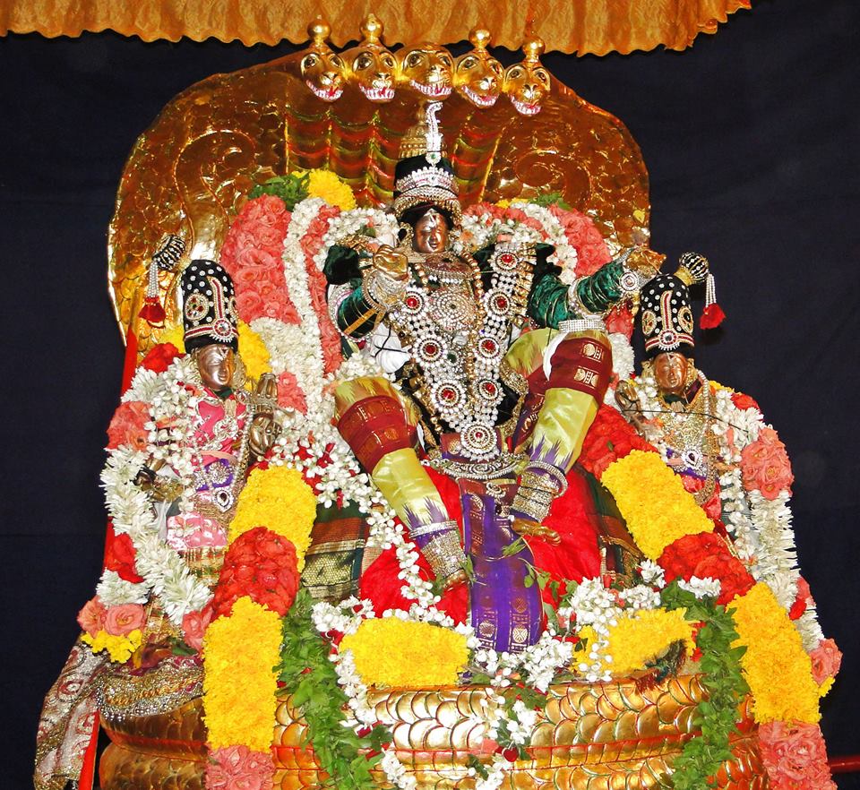 Sri Balaji Mandir Fanswadi Vasamahotsavamn (3)