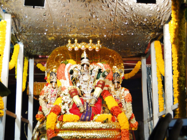 Sri Balaji Mandir Fanswadi Vasamahotsavamn (4)