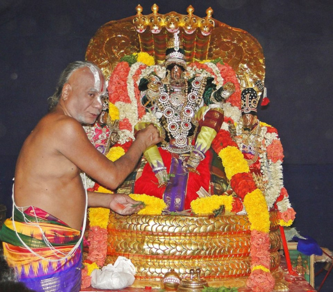 Sri Balaji Mandir Fanswadi Vasamahotsavamn (5)