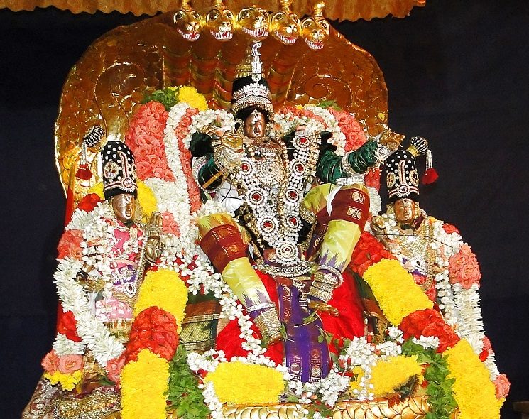 Sri Balaji Mandir Fanswadi Vasamahotsavamn (6)